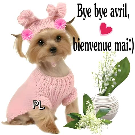 8 Mai images, photos et illustrations pour whatsapp - Bonnes Images