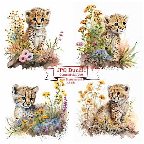 Cheetah Cub Clipart, Spring Flowers and Gardening Clipart, Cheetah ...