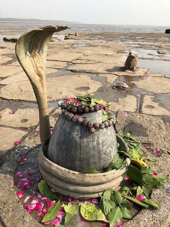 THE BEST Things to Do Near Ghogha Beach (2025) - Tripadvisor