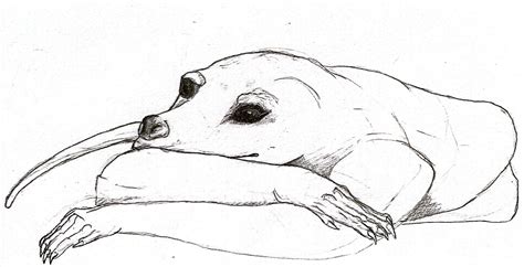 Some sketches of Arxur anatomy : r/NatureofPredators - nature of predators zurulian
