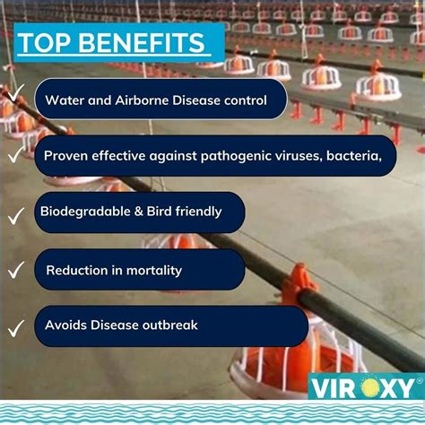 POULTRY DISINFECTANTS AND FEED SUPPLEMENTS - Poultry Drinking water ...