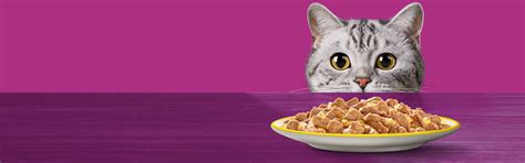 Best Cat Food, Kitten Food | Cat Articles and Videos | Whiskas