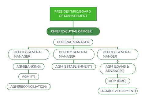 Organogram - WELCOME TO DCC BANK VIZIANAGARAM