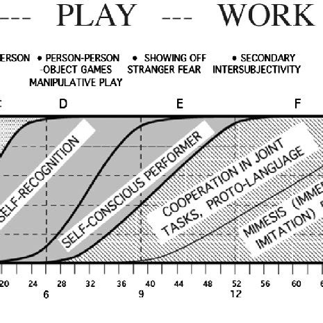 Image result for Constant Function Example