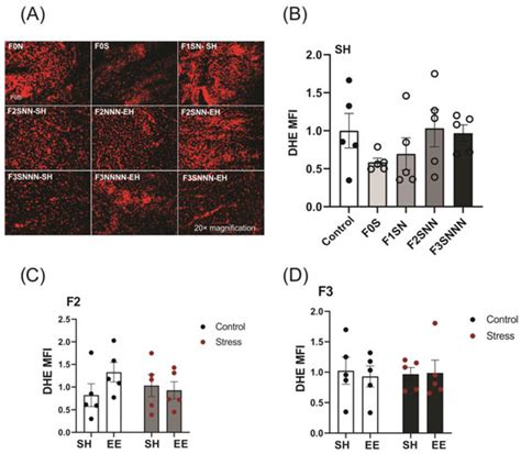 Environmental Enrichment Promotes Transgenerational Programming of ...