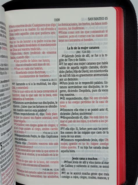 BIBLIA LETRA GRANDE / REINA VALERA 1960 / PALABRA DE India | Ubuy