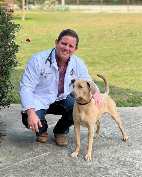 Dr. Dillon Johnson | Taylor Animal Hospital