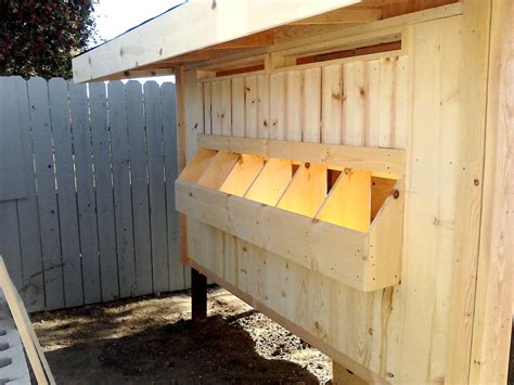 How To Build External Chicken Nesting Boxes at David Trumper blog