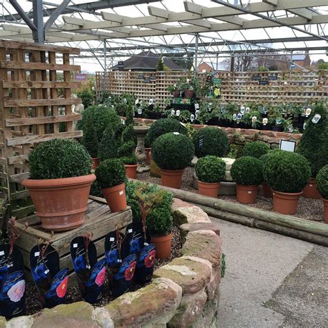 OKELLS GARDEN CENTRE - All You Need to Know BEFORE You Go 2026 (with ...