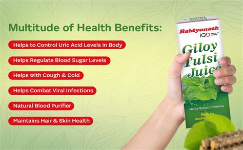 Baidyanath Giloy Tulsi Juice 1 Litre (Pack of 2)- Helps Boost Immunity ...