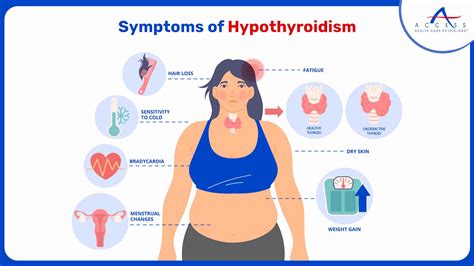 Hyperthyroidism vs. Hypothyroidism | Thyroid 101 | Symptoms