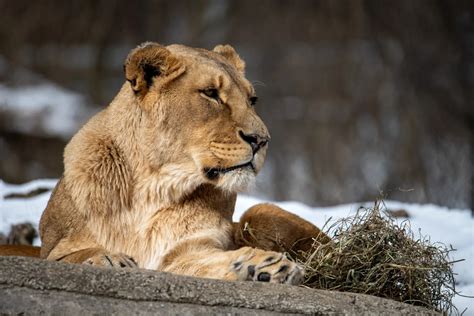 Pittsburgh Zoo & Aquarium - Pittsburgh Zoo & Aquarium