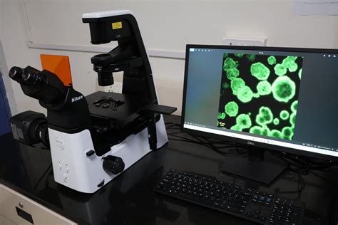 Department of Chemistry – Indian Institute of Technology Indore