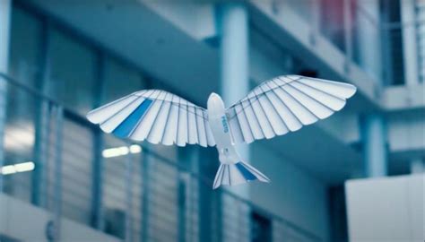 This Robot Has Artificial Feathers And Flies Like A Real Bird ...