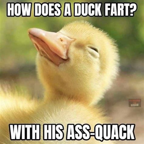 Pin by Shawn Pack on Funny | Fart jokes, Funny corny jokes, Dad jokes funny