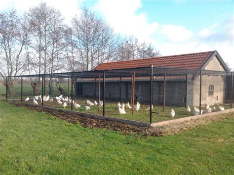 Poultry Farm Buildings - Chicken Coop Designs