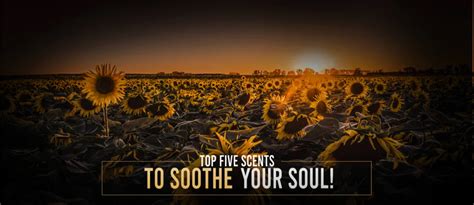 TOP 5 SCENTS TO SOOTHE YOUR SOUL – Involve Your Senses