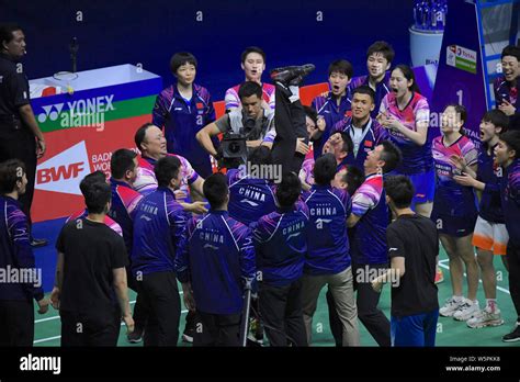 Chinese Badminton 的图像结果