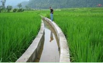 节水灌溉技术在农田水利中的应用分析--中国期刊网
