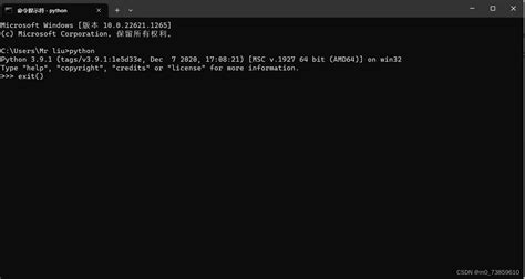 How to Code in Python 3.9.0 的图像结果