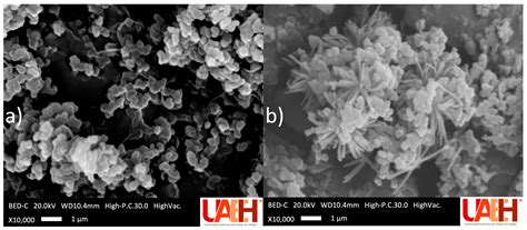 Multi-Template Molecularly Imprinted Polymers Coupled with a Solid ...
