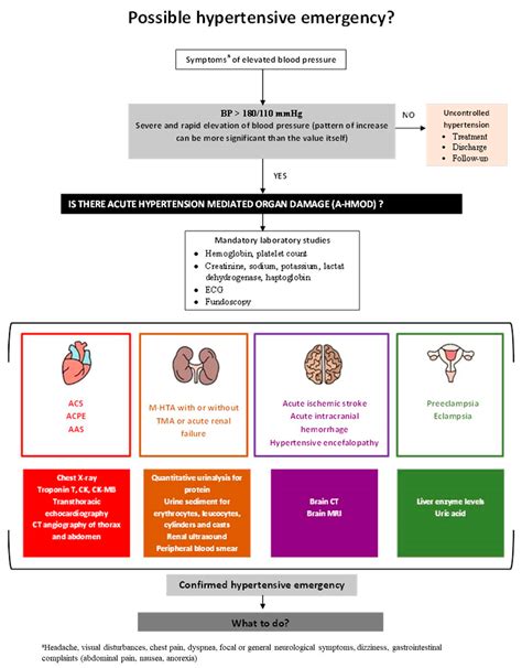 The Management of Hypertensive Emergencies—Is There a “Magical ...