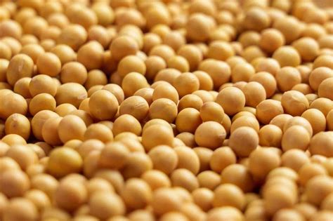 Soybeans Extend Losses to Thursday’s Close