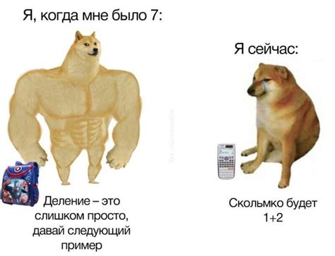 Названы самые смешные мемы 2020 года — Новости на Фильм Про