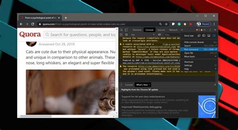 Disable JavaScript 的图像结果
