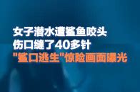 女子潜水被鲨鱼咬伤后遭网暴最新素材