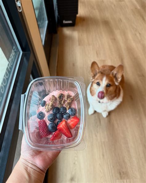 Fauna Pet Market | Eugene OR