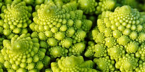 Image result for Math Nature