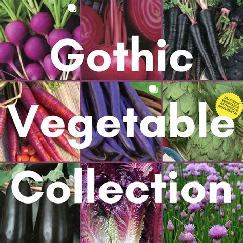 Hume Seeds – humeseeds.com