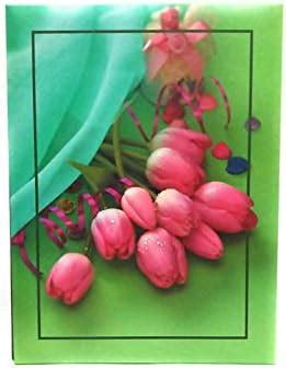 SAN CREATION Paper and Plastic Natraj Slide in Photo Album PP Pack 100 ...