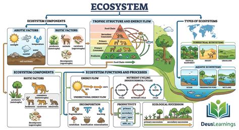 Ecosystem