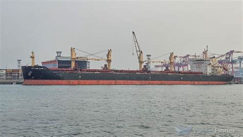 EASTERN CAMELLIA, Bulk Carrier - Details and current position - IMO ...