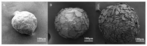 Efficient Adsorption Performance of Lithium Ion onto Cellulose ...