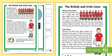 Lions Rugby Tour Differentiated Comprehension Worksheets