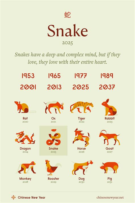 What year is the snake in chinese zodiac 60 photos - Astrologytoyou.com