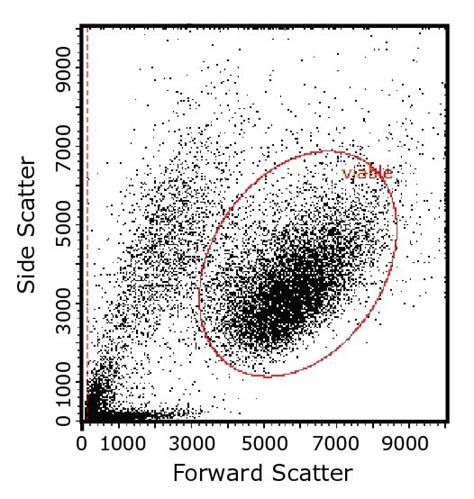 Flow Cytometry Explained 的图像结果