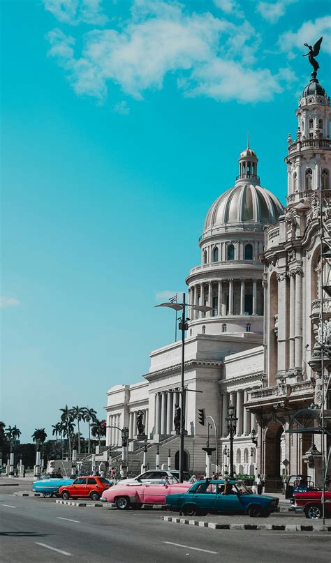 Local Government Pic 的图像结果