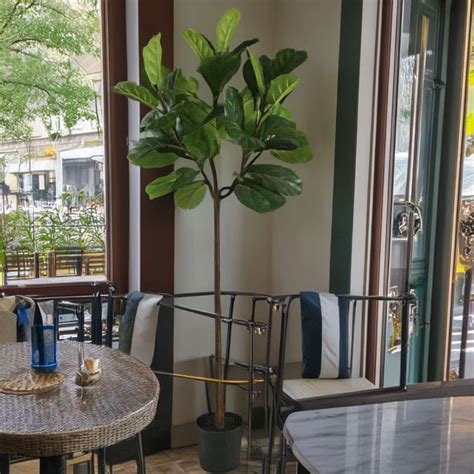 Manufacture Faux Fiddle Leaf Fig Tree -Oakco