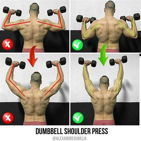 Shoulder Press Dumbbell