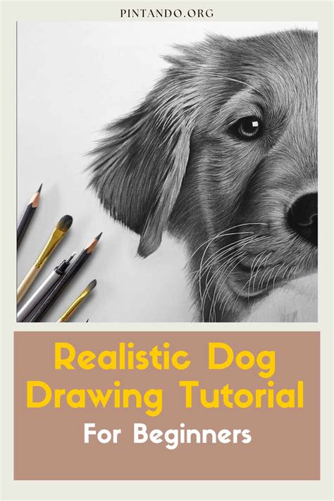 Realistic Dog Drawing Tutorial 的图像结果