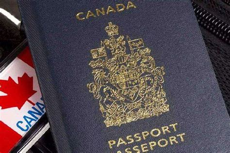 用两本加拿大护照作文高清图片下载-正版图片503916598-摄图网
