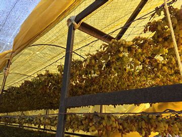 Supreme Silpaulin Sheets Traps | Solar Dryer Sheet