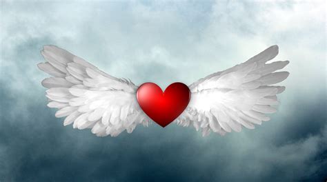 Wings And Heart Free Stock Photo - Public Domain Pictures