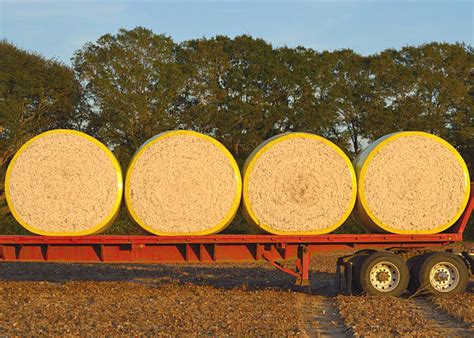 Image result for Loading Cotton Modules