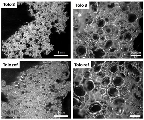 Flexible Polyurethane Foams from Epoxidized Vegetable Oils and a Bio ...