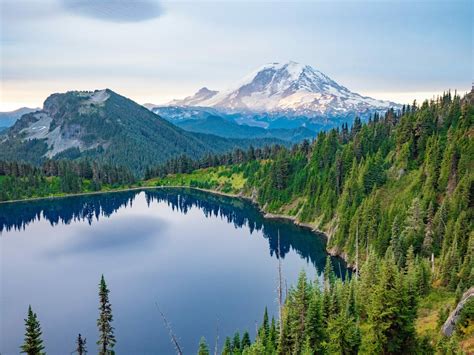 Image result for Nature Sample